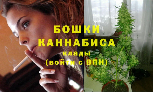эйфоретик Белокуриха