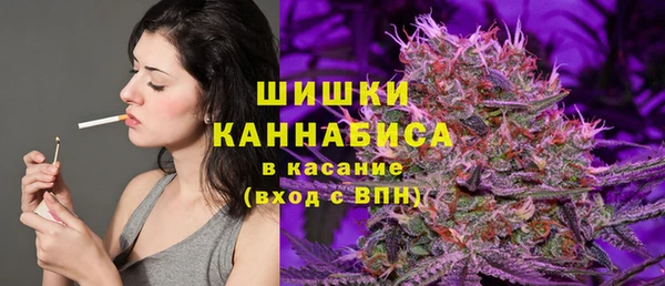 эйфоретик Белокуриха