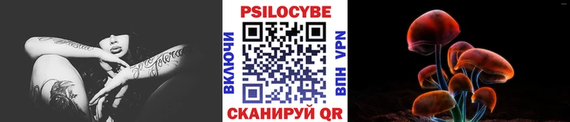 купить закладку  мега как войти  Галлюциногенные грибы мицелий  Дигора 